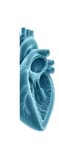 Cardiology Billing Services in Usa | Medical Billing Company | Medmax Rcm | Medical Billing Company | Medmax Rcm Cardiology Billing Services