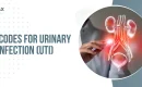 Icd 10 Code for Uti | Uti Icd 10